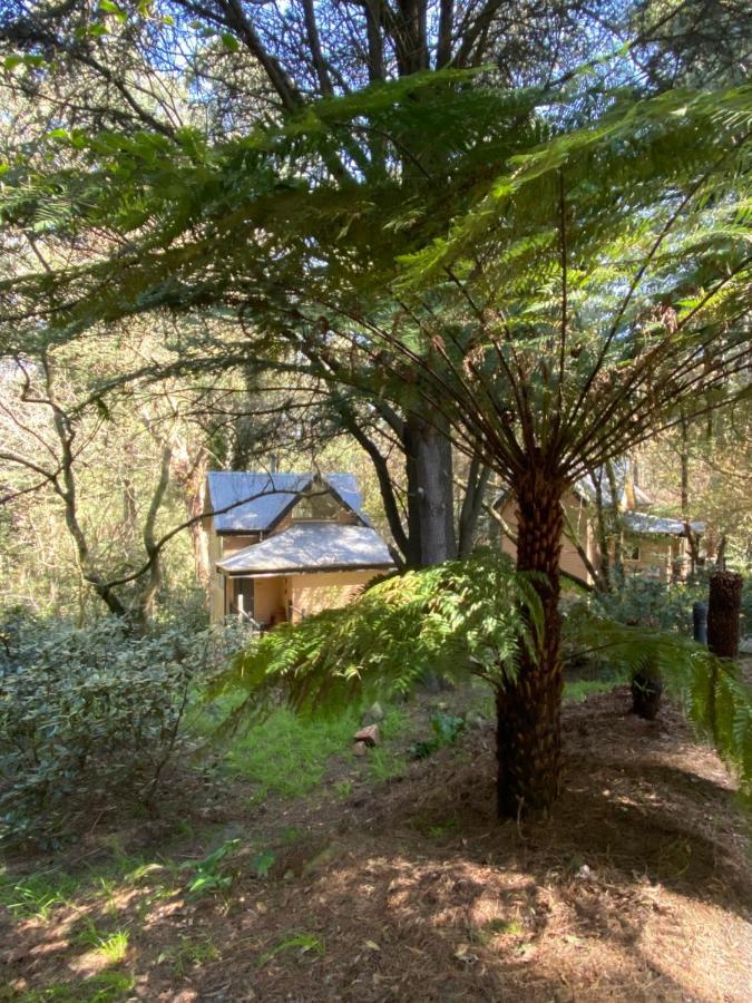 Lochiel Luxury Accommodation Олинда Екстериор снимка